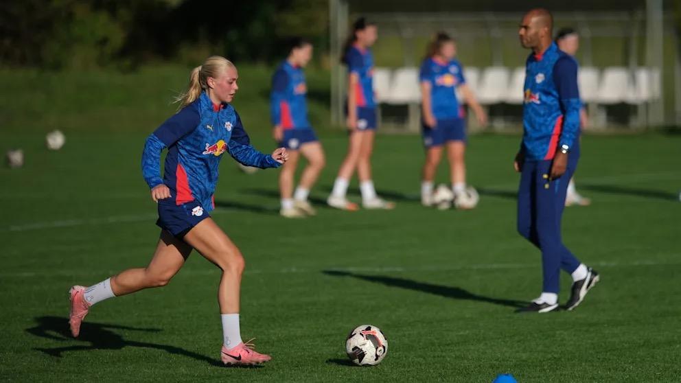 msn, 萄牙体育加 msn, 萄牙体育加