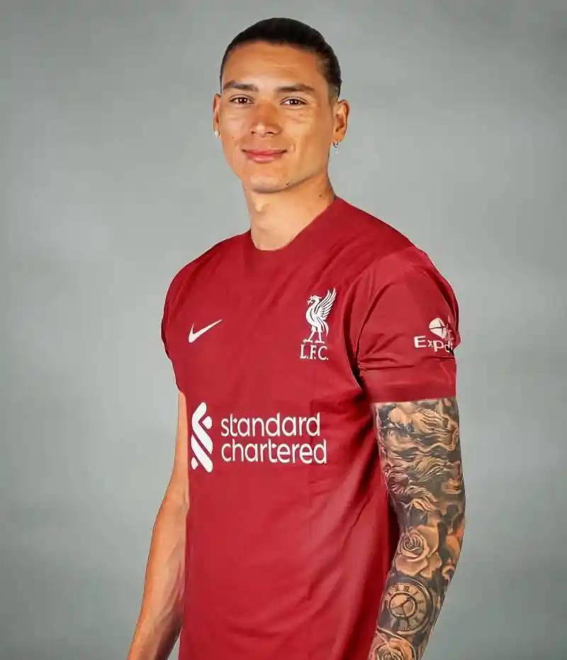 text, 本菲卡多线, 菲卡的整体